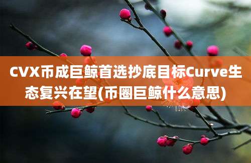 CVX币成巨鲸首选抄底目标Curve生态复兴在望(币圈巨鲸什么意思)