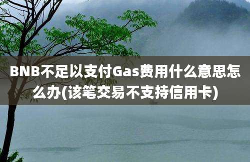 BNB不足以支付Gas费用什么意思怎么办(该笔交易不支持信用卡)