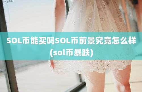 SOL币能买吗SOL币前景究竟怎么样(sol币暴跌)