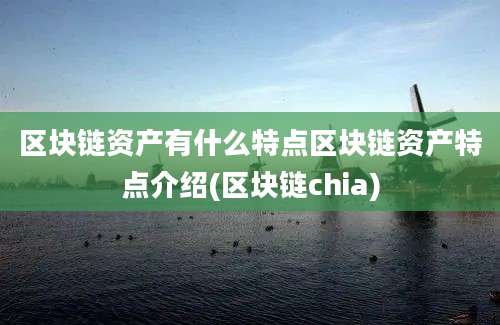 区块链资产有什么特点区块链资产特点介绍(区块链chia)