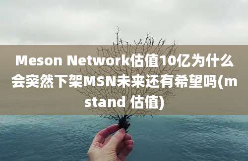 Meson Network估值10亿为什么会突然下架MSN未来还有希望吗(mstand 估值)