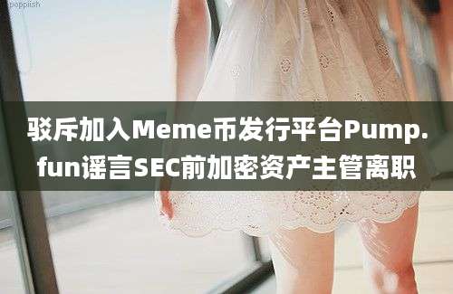 驳斥加入Meme币发行平台Pump.fun谣言SEC前加密资产主管离职