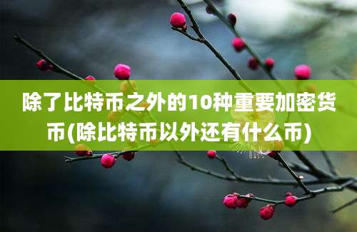 除了比特币之外的10种重要加密货币(除比特币以外还有什么币)