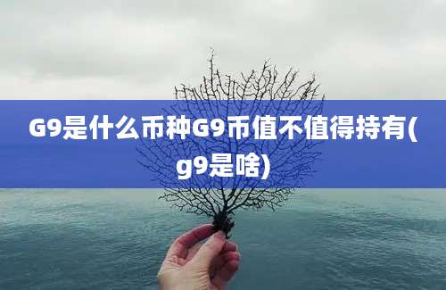 G9是什么币种G9币值不值得持有(g9是啥)