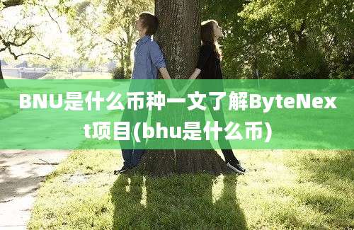 BNU是什么币种一文了解ByteNext项目(bhu是什么币)