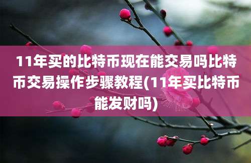 11年买的比特币现在能交易吗比特币交易操作步骤教程(11年买比特币能发财吗)