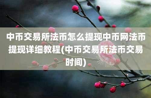 中币交易所法币怎么提现中币网法币提现详细教程(中币交易所法币交易时间)