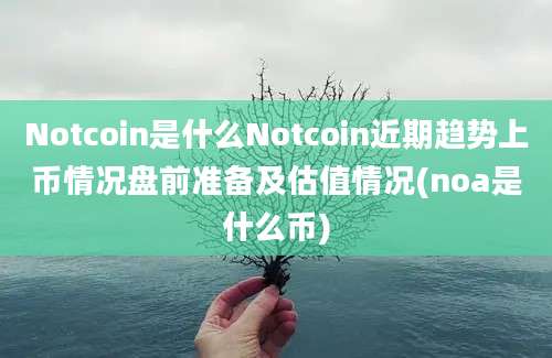 Notcoin是什么Notcoin近期趋势上币情况盘前准备及估值情况(noa是什么币)