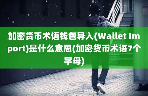 加密货币术语钱包导入(Wallet Import)是什么意思(加密货币术语7个字母)