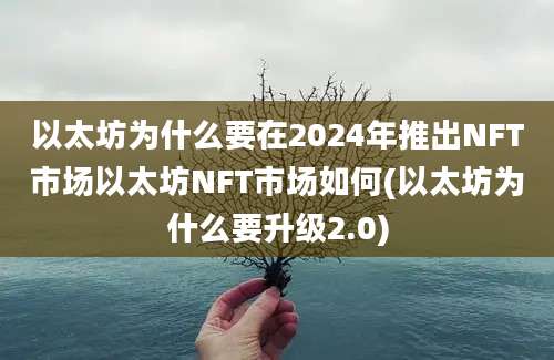 以太坊为什么要在2024年推出NFT市场以太坊NFT市场如何(以太坊为什么要升级2.0)