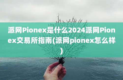 派网Pionex是什么2024派网Pionex交易所指南(派网pionex怎么样)