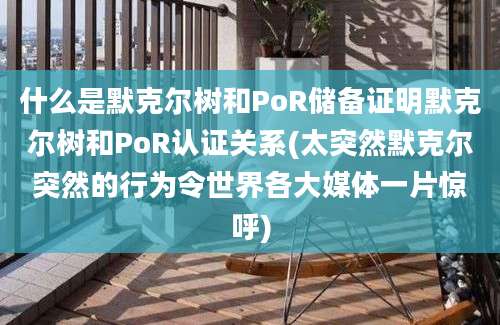 什么是默克尔树和PoR储备证明默克尔树和PoR认证关系(太突然默克尔突然的行为令世界各大媒体一片惊呼)