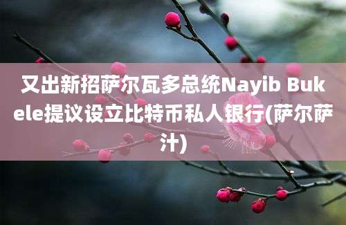 又出新招萨尔瓦多总统Nayib Bukele提议设立比特币私人银行(萨尔萨汁)