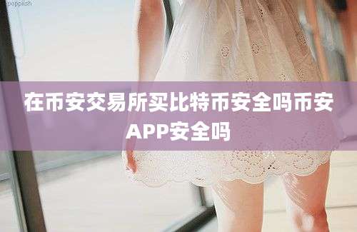 在币安交易所买比特币安全吗币安APP安全吗