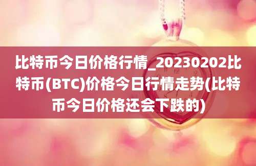 比特币今日价格行情_20230202比特币(BTC)价格今日行情走势(比特币今日价格还会下跌的)