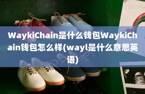 WaykiChain是什么钱包WaykiChain钱包怎么样(wayl是什么意思英语)