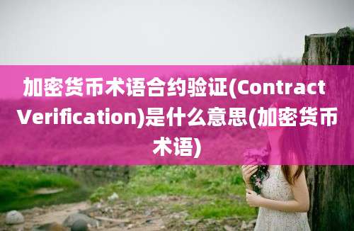 加密货币术语合约验证(Contract Verification)是什么意思(加密货币术语)