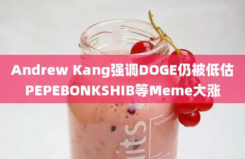 Andrew Kang强调DOGE仍被低估PEPEBONKSHIB等Meme大涨