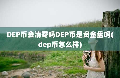 DEP币会清零吗DEP币是资金盘吗(dep币怎么样)