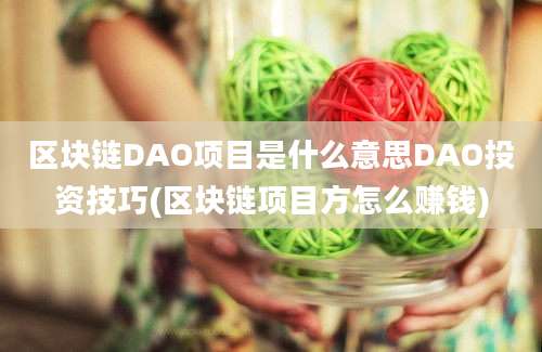 区块链DAO项目是什么意思DAO投资技巧(区块链项目方怎么赚钱)