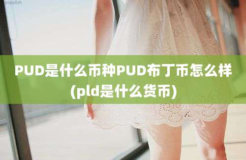 PUD是什么币种PUD布丁币怎么样(pld是什么货币)