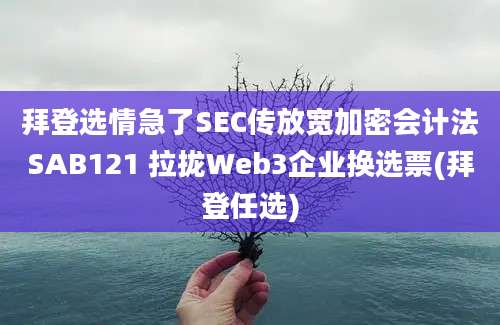 拜登选情急了SEC传放宽加密会计法SAB121 拉拢Web3企业换选票(拜登任选)