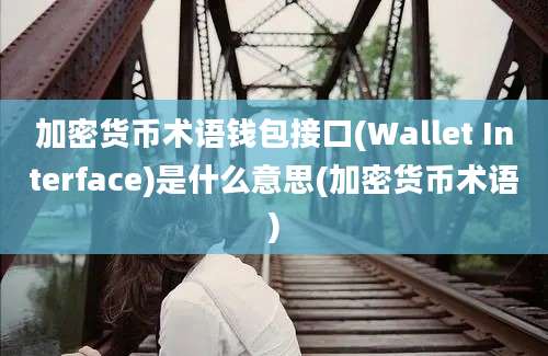 加密货币术语钱包接口(Wallet Interface)是什么意思(加密货币术语)