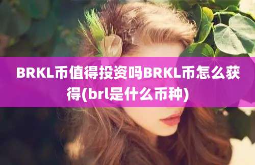 BRKL币值得投资吗BRKL币怎么获得(brl是什么币种)