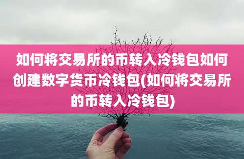 如何将交易所的币转入冷钱包如何创建数字货币冷钱包(如何将交易所的币转入冷钱包)