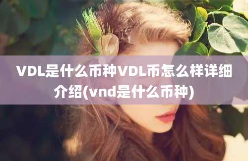 VDL是什么币种VDL币怎么样详细介绍(vnd是什么币种)