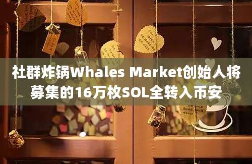 社群炸锅Whales Market创始人将募集的16万枚SOL全转入币安