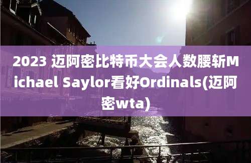 2023 迈阿密比特币大会人数腰斩Michael Saylor看好Ordinals(迈阿密wta)