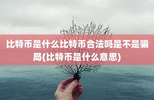 比特币是什么比特币合法吗是不是骗局(比特币是什么意思)