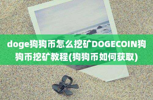 doge狗狗币怎么挖矿DOGECOIN狗狗币挖矿教程(狗狗币如何获取)