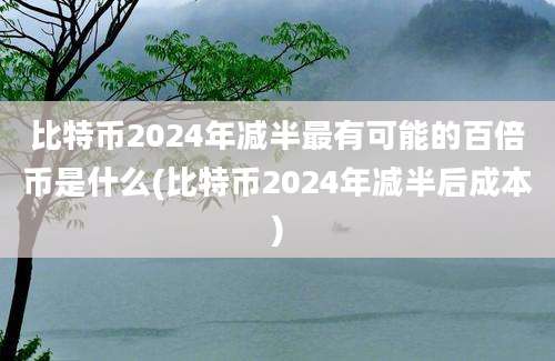 比特币2024年减半最有可能的百倍币是什么(比特币2024年减半后成本)