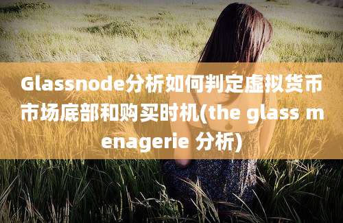 Glassnode分析如何判定虚拟货币市场底部和购买时机(the glass menagerie 分析)