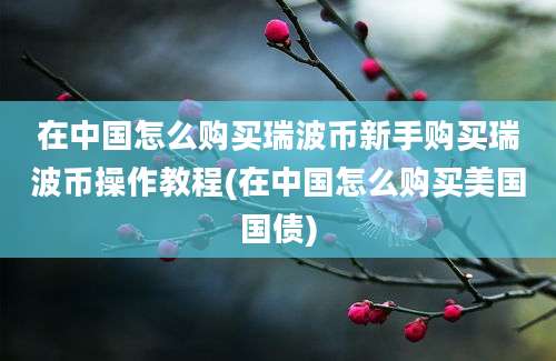 在中国怎么购买瑞波币新手购买瑞波币操作教程(在中国怎么购买美国国债)