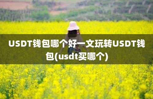 USDT钱包哪个好一文玩转USDT钱包(usdt买哪个)