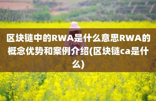 区块链中的RWA是什么意思RWA的概念优势和案例介绍(区块链ca是什么)