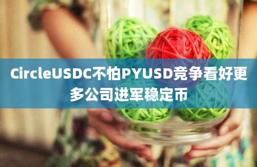 CircleUSDC不怕PYUSD竞争看好更多公司进军稳定币