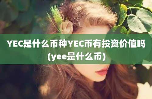 YEC是什么币种YEC币有投资价值吗(yee是什么币)