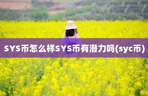 SYS币怎么样SYS币有潜力吗(syc币)