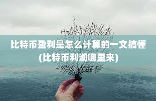 比特币盈利是怎么计算的一文搞懂(比特币利润哪里来)