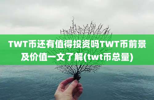 TWT币还有值得投资吗TWT币前景及价值一文了解(twt币总量)