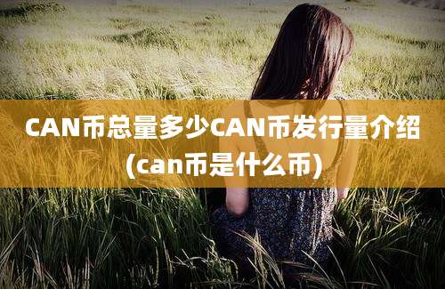 CAN币总量多少CAN币发行量介绍(can币是什么币)