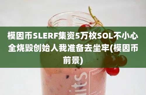 模因币SLERF集资5万枚SOL不小心全烧毁创始人我准备去坐牢(模因币前景)