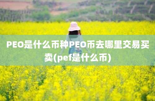 PEO是什么币种PEO币去哪里交易买卖(pef是什么币)