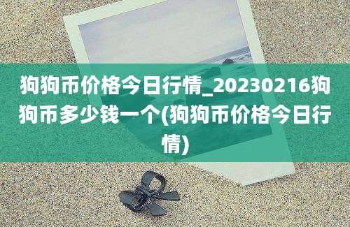 狗狗币价格今日行情_20230216狗狗币多少钱一个(狗狗币价格今日行情)