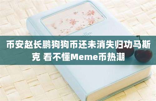 币安赵长鹏狗狗币还未消失归功马斯克 看不懂Meme币热潮