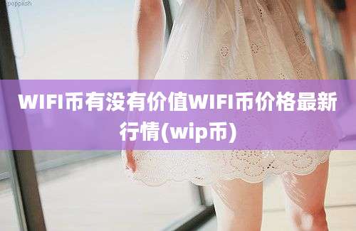 WIFI币有没有价值WIFI币价格最新行情(wip币)